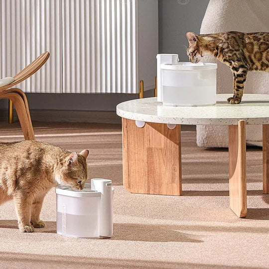 Fontaine à eau pour chat avec capteur intelligent