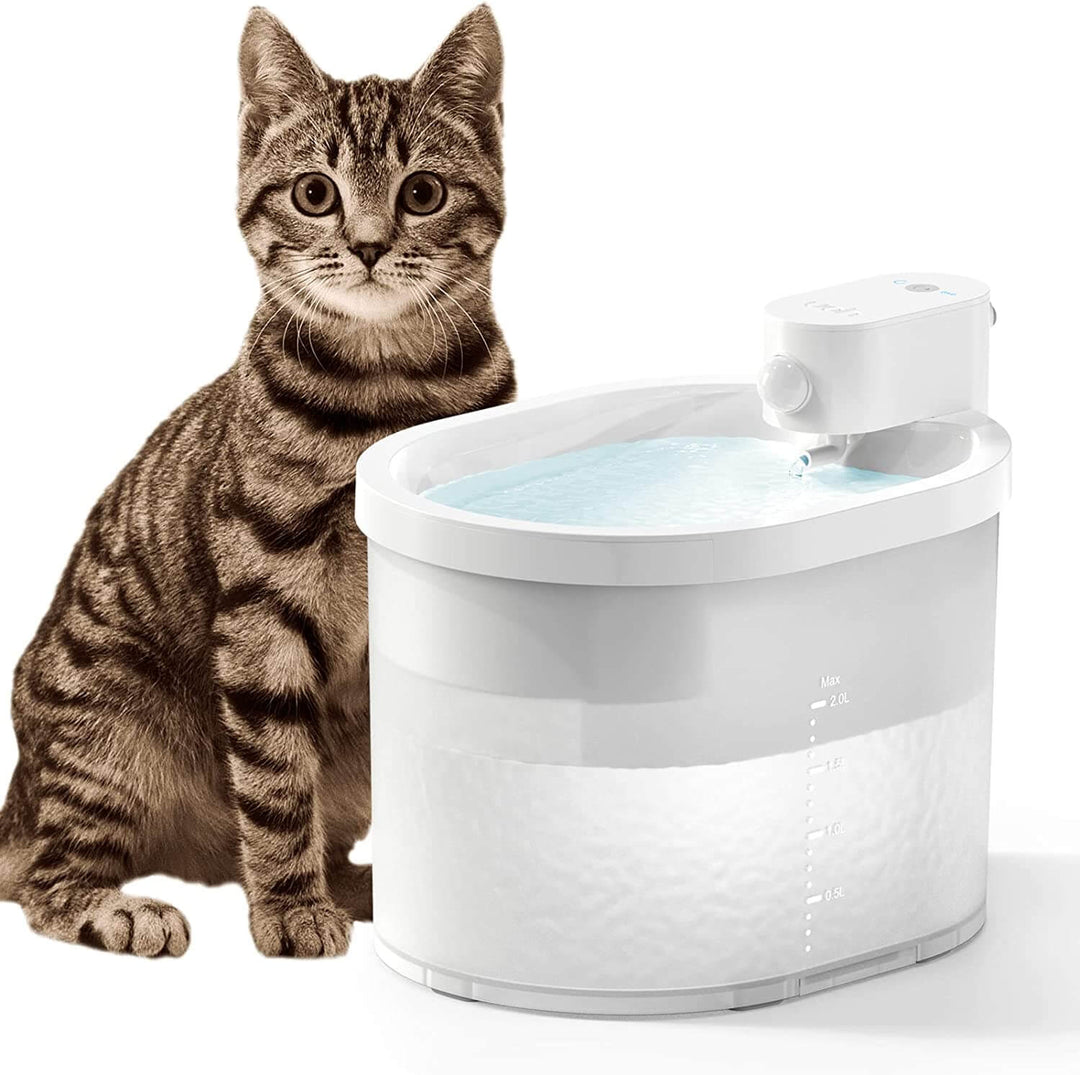 Fontaine à eau pour chat avec capteur intelligent