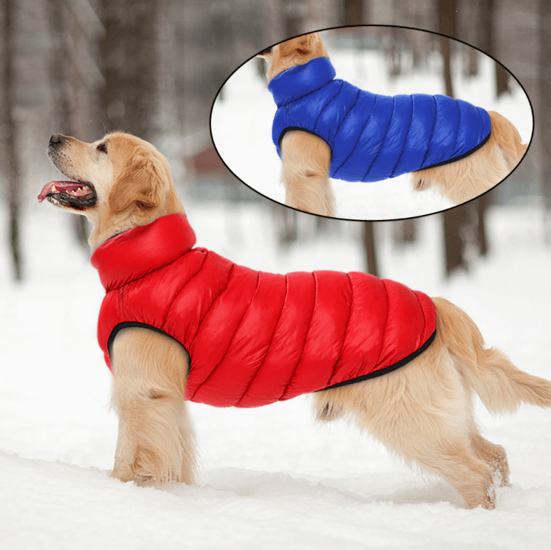 Manteau imperméable réversible pour chien