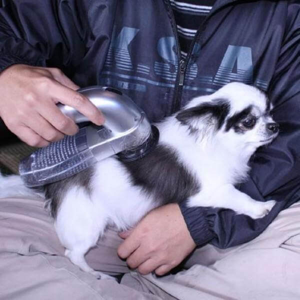 Mini compact aspirateur à main pour poil d'animaux chient chat