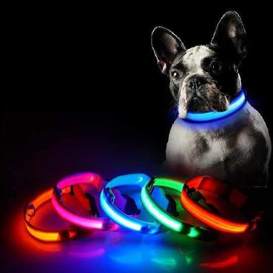 Collier LED