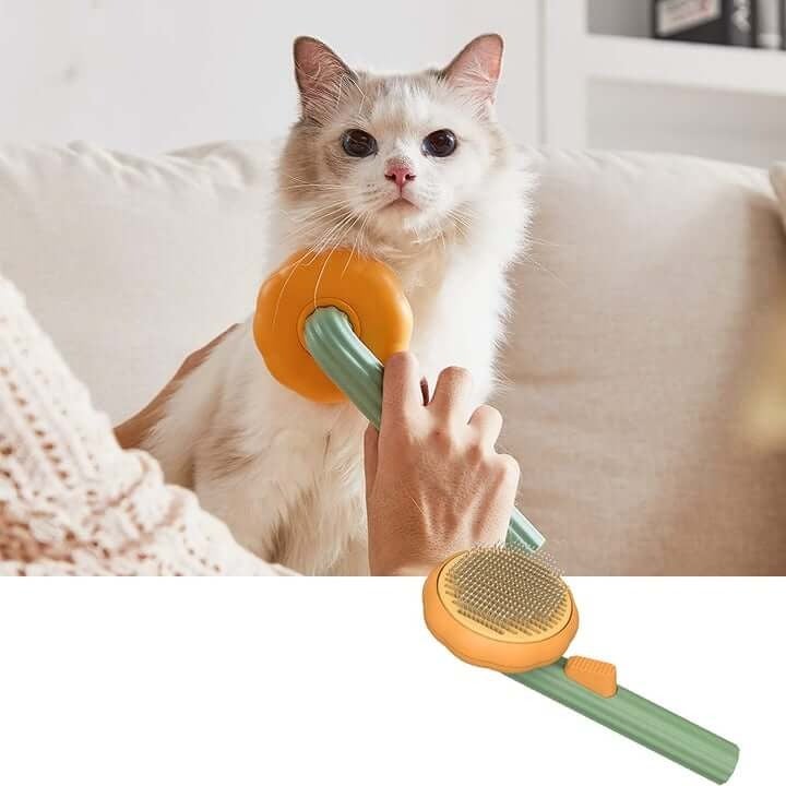 Brosse à poils de citrouille